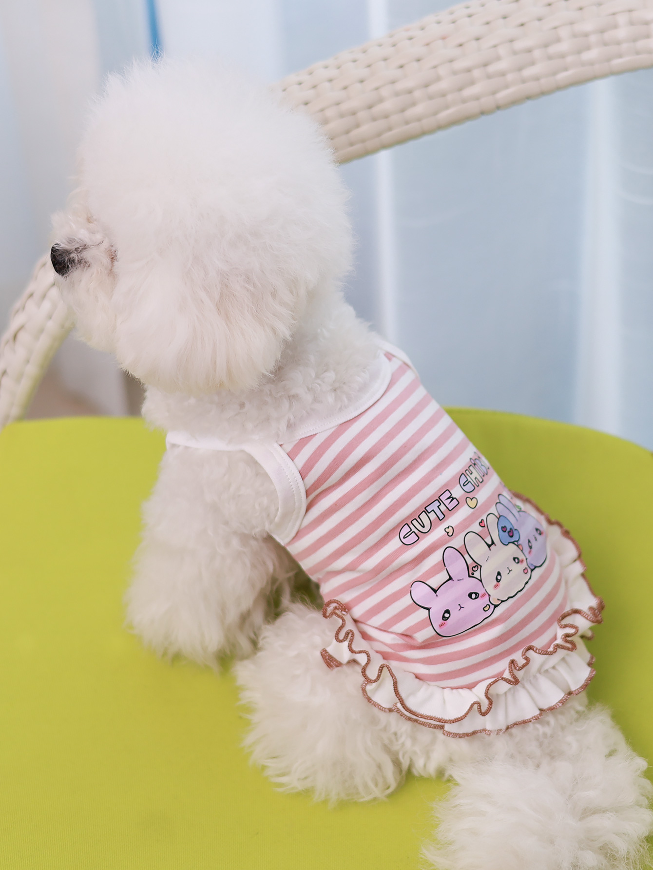 Gilet per cani, abbigliamento  - Summer Clothing Material recensione e prezzo