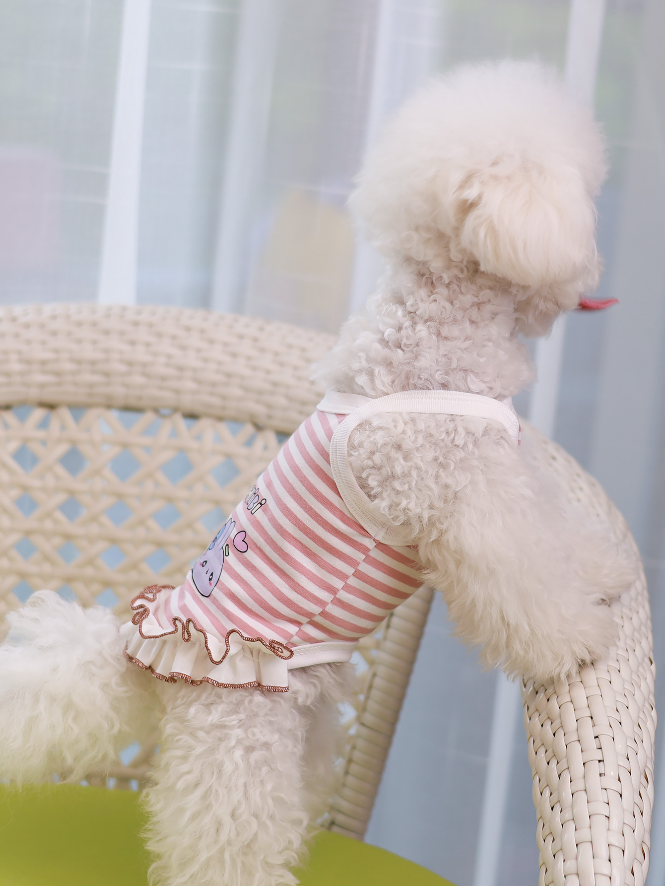 Gilet per cani, abbigliamento  - Summer Clothing Material recensione e prezzo