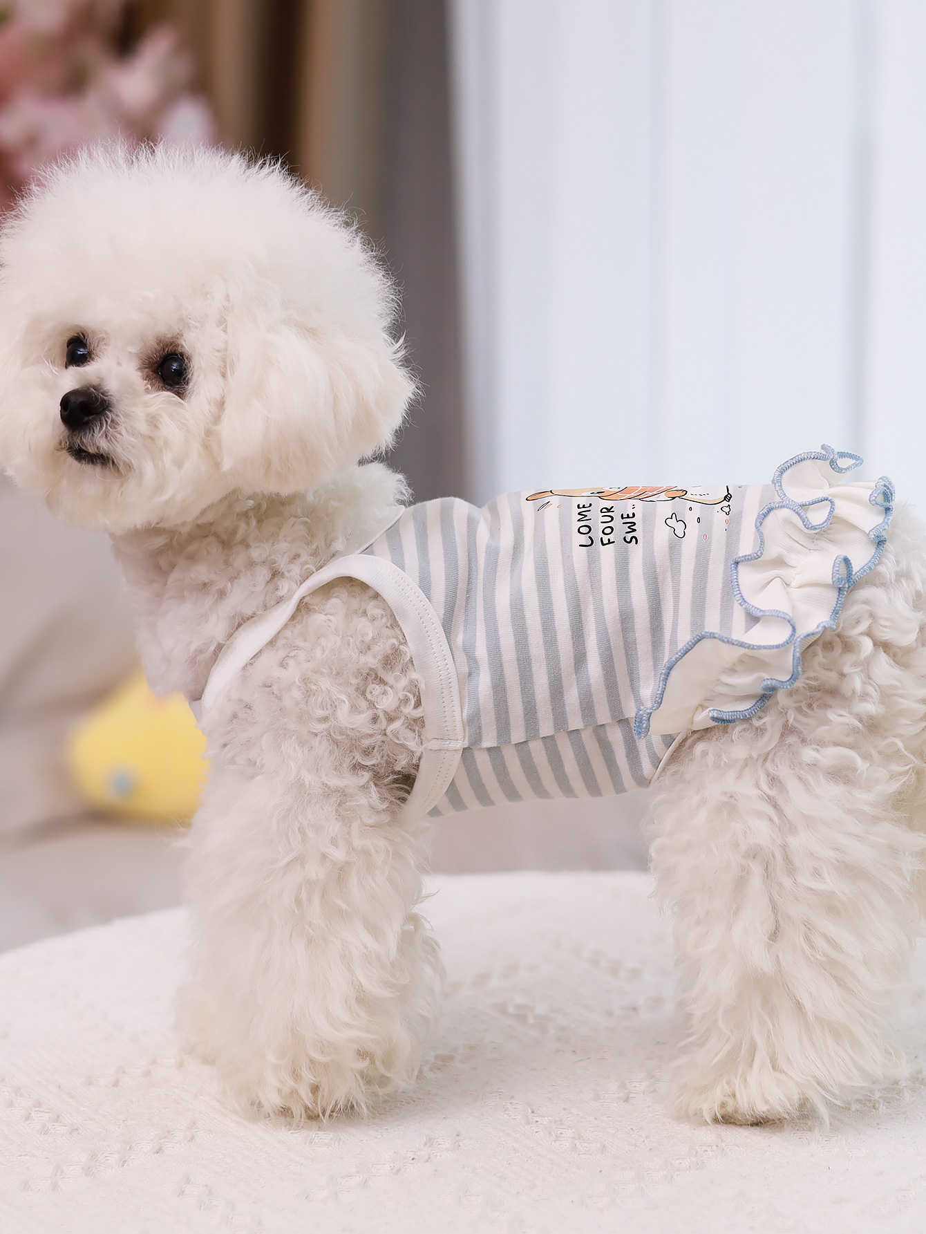 Gilet per cani, abbigliamento  - Summer Clothing Material recensione e prezzo