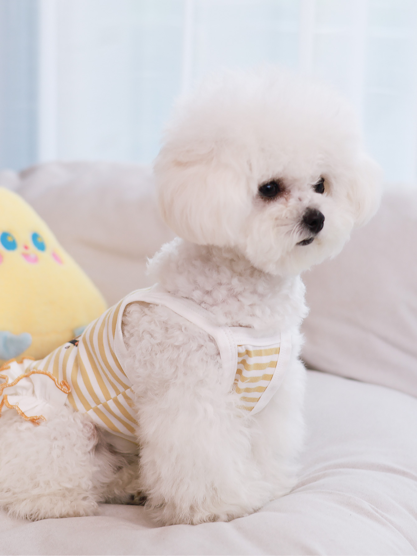 Gilet per cani, abbigliamento  - Summer Clothing Material recensione e prezzo